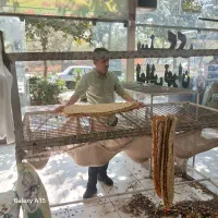 واگذاری نانوایی آزاد پربا پخت سنگک وبربری