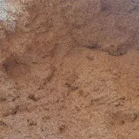 فروش کاه ویونجه