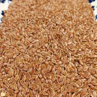 فروش تخم کتان و روغن کتان سرخ و بزرک