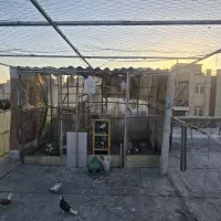 گنجه و قفس و خانه تور