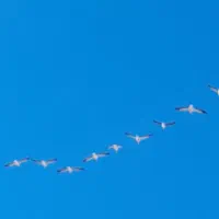 خانه ۵۷ امتیاز مهرم هس فروش