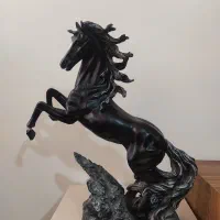 اسب|اسب و تجهیزات اسب‌سواری|مراغه, |دیوار