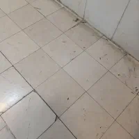 کارکنان-21-جنوبی-فرعی-اول-فاز-دوم