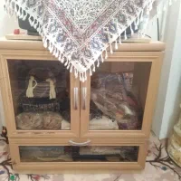 میز تلویزیون