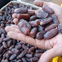 پیارم درجه یک