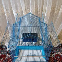 قفس پرنده لانه پرنده|لوازم جانبی حیوانات|بروجرد, |دیوار