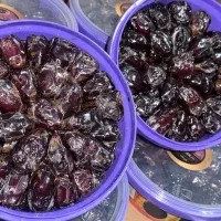 شیف عصر کارگر بسته بندی خرما