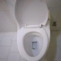 توالت فرنگی
