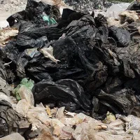 نیازمند استخدام نیرو جهت تفکیک نایلون بازیافتی|استخدام سرایداری و نظافت|بوشهر, |دیوار