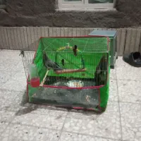 لوازم جانبی|لوازم جانبی موبایل و تبلت|سبزوار, چهارراه فرودگاه|دیوار