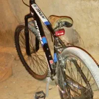 دوچرخه 26|دوچرخه، اسکیت، اسکوتر|محمله, |دیوار