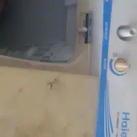 لباس‌شویی هایر دوقلو