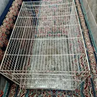 قفس بزرگ کلبه ای مرغ عشق نر اسپانگل ابی|پرنده|مشهد, موعود|دیوار