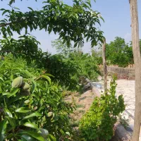 فروش-باغ
