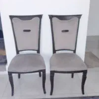گربه|گربه|مشهد, سیس‌آباد|دیوار