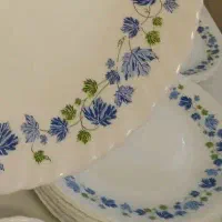 ظروف نگهدارنده آرکوپال