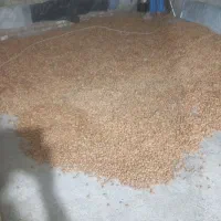 ۲۰۰کیلوبادام شیرین