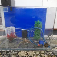 شیشه خم آکواریوم