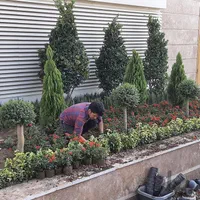 باغبانی گلشهر عظیمیه گوهردشت شهریار گرمدره|خدمات باغبانی و درختکاری|کرج, فاز ۳ گوهردشت|دیوار