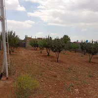 باغچه ۱۰۰۰متری|فروش زمین و ملک کلنگی|شیراز, کودیان|دیوار