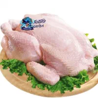 پخش مرغ و بوقلمون کشتاره روز به قیمت