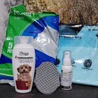 توله اشپیتز|سگ|کرمان, |دیوار