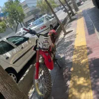 تریل باسل ۲۵۰