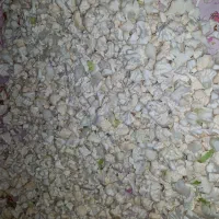 سالا فصل و شور گل کلم بصورت فله ایی|خوردنی و آشامیدنی|تهران, شهید فکوری|دیوار