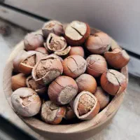 فندق خندان و بوداده تازه اشکور گیلان
