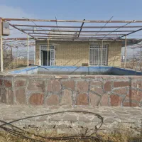 فروش ۲۰۰۰ متر باغ در چناران روستای حیطه طلا|فروش خانه و ویلا|گلبهار, نوبهار|دیوار