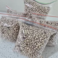 لوبیا چیتی تازه و تمیز