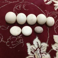 سنگ اسیاب