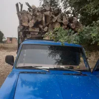 خرید چوب|خدمات باغبانی و درختکاری|دزفول, |دیوار