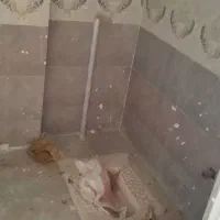 یک واحد آپارتمان به مساحت ۱۰۰ متر مربع در بندرگز|فروش آپارتمان|بندر گز, |دیوار