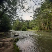 اجاره ویلا و واحد جنگلی|اجارهٔ کوتاه‌مدت ویلا و باغ|آلاشت, |دیوار