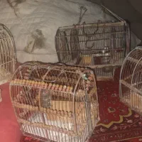 قفس سهره تله