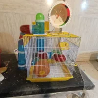 قفس و چرخ و فلک و خونه و تونل همستر
