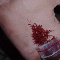 نگین زعفران سوپر ممتاز اصل کشت امسال|خوردنی و آشامیدنی|تاکستان, |دیوار