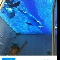 لوله فروشی اقساط