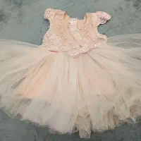 دون مجلسی نوزاد