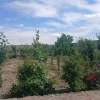 فروش زمین و باغ
