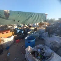 نیرو خانم جهت کار  تکفیف پلاستیک