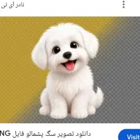 سگ ماده پیدا شده محدوده هپکو