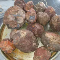 سنگهای عقیق وشجر