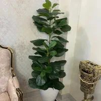 درختچه مصنوعی