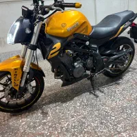 بنلی 300درحد