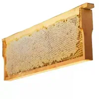 عسل