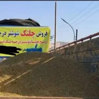 چلتک شوشتر درجه یک