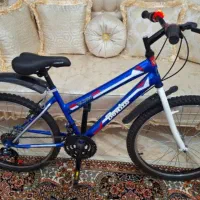 دوچرخه سایز۲۴