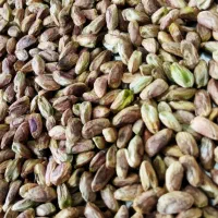 مغز پسته خشک تازه امسال